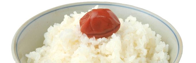 新潟県魚沼産コシヒカリ100%胚芽米で健康的にダイエット